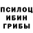 Галлюциногенные грибы мухоморы igrovuxa