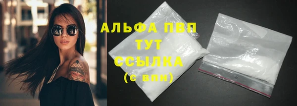 spice Гатчина