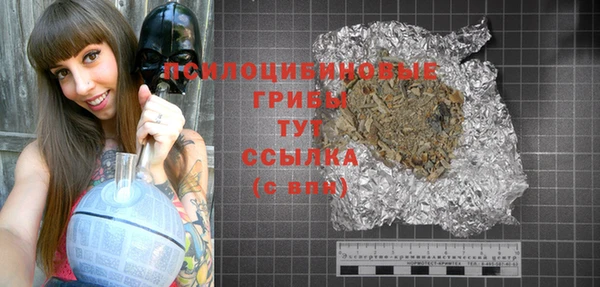 spice Гатчина