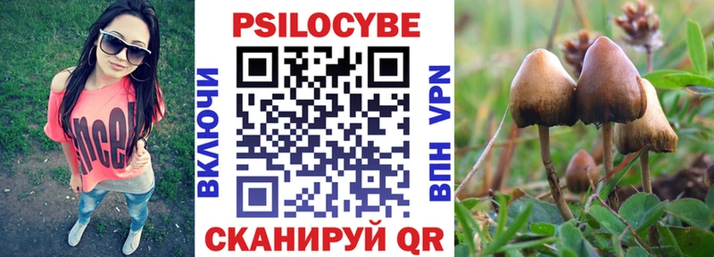 Псилоцибиновые грибы ЛСД  даркнет сайт  Кедровый 